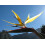 SAFLAX Set regalo - Strelitzia gialla - 4 semi - Strelitzia 6