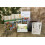 SAFLAX Geschenk Set - Rosmarin - Rosmarinus - 100 Samen 2