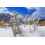 SAFLAX Geschenk Set - Edelweiss - Leontopodium - 500 Samen 6
