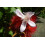 SAFLAX Geschenk Set - Lippenstiftstrauch - Bixa - 20 Samen 5