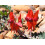 SAFLAX Geschenk Set - Papageischnabel - Clianthus - 20 Samen 5