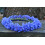 SAFLAX  - Blaue Kornblume - Centaurea - 27000 Samen - Mit Substrat 5