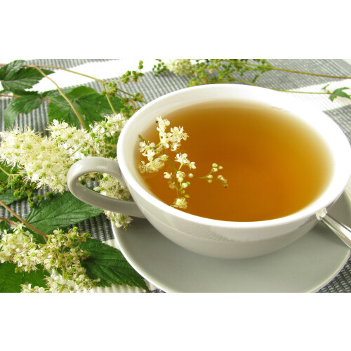 SAFLAX  - Mädesüß - Filipendula - 500 Samen 2