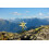 SAFLAX  - Edelweiss - Leontopodium - 500 Samen - Mit Substrat 7