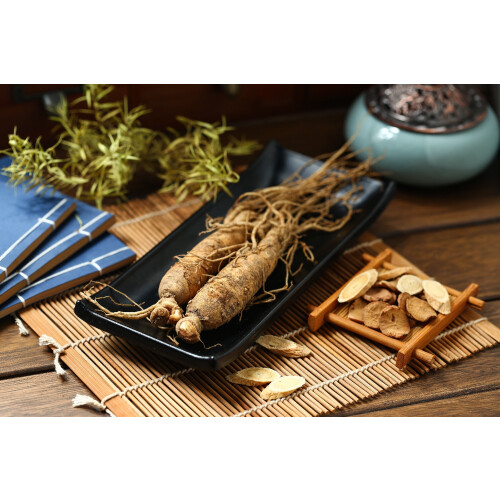SAFLAX  - Ginseng - Panax - 10 Samen - Mit Substrat 2