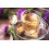 SAFLAX  - Mariendistel - Silybum - 75 Samen - Mit Substrat 6