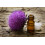 SAFLAX  - Mariendistel - Silybum - 75 Samen - Mit Substrat 5