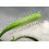 SAFLAX  - Sonnentau - Drosera - 200 Samen - Mit Substrat 5