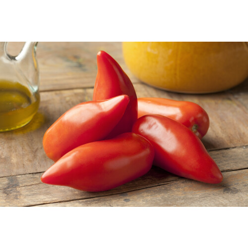 SAFLAX  - Tomate - Andenhorn - Lycopersicon - 10 Samen 1