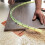 2M Woodworking Profiling Strip, Curve Template Adjustable&Fixed Complex Shape Contour Woodworking T 4