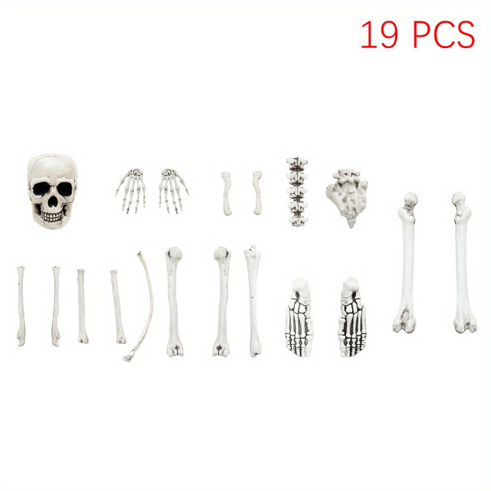 Topsrjyl (Halloween Decoration Prop, 19Pcs) Halloween Decorations Skeleton, Pack Of 19Pcs Realistic Plastic Scattered Skeleton Skull Head Bones Hands Legs Feet