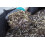 PLANT!T Vermiculite 10L 5