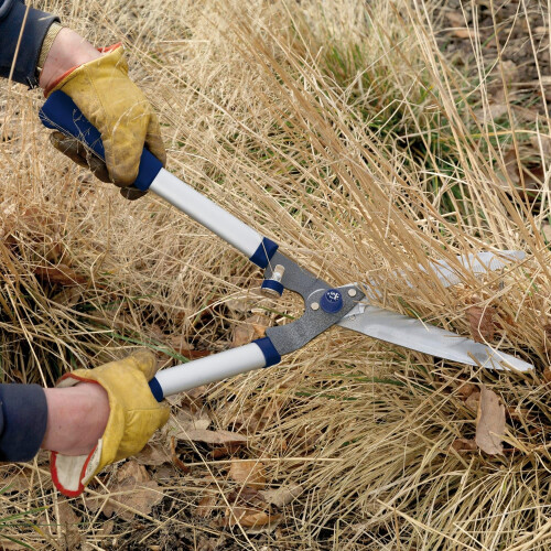 Spear & Jackson Spear & Jackson 8110RS Razorsharp Notched Hedge Shear, Blue 2