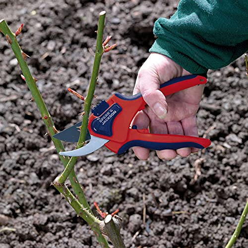 Spear & Jackson Spear & Jackson 6059BS Razorsharp Advantage Medium Bypass Pruning Shear, Blue 1