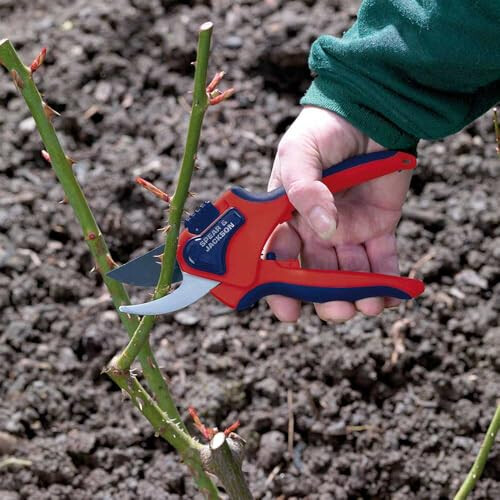 Spear & Jackson Spear & Jackson 6059BS Razorsharp Advantage Medium Bypass Pruning Shear, Blue 2