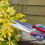 Spear & Jackson Spear & Jackson 4855TS Razorsharp Advantage Topiary Shear 5