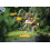 Hozelock HOZELOCK - Rectangular Oscillating Sprinkler Pro 200 m? : Medium-area Rectangular Spray Sprinkler, Ideal for Lawns and Established Plants, Adjustable 3