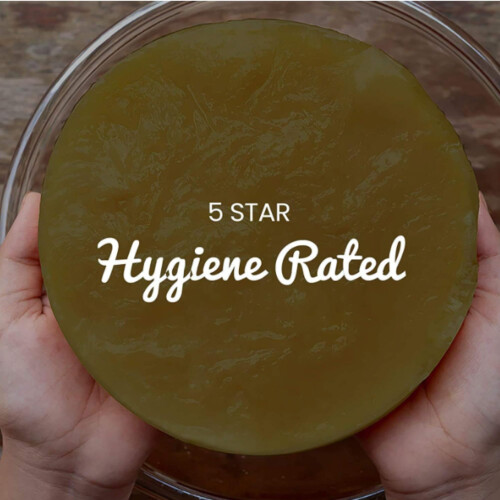 Organic Kombucha Scoby 2 Litre 2