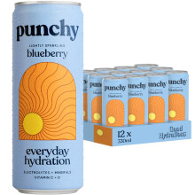 Punchy Drinks - Blueberry - Everyday Hydration, Essential Electrolytes, Minerals, Vitamins, Real Fruit, Supports Immunity, Caffeine Free, Aids Muscle
