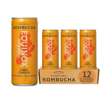 Equinox Kombucha - Fiery Ginger - Sparkling Refreshing Drink with Live Kombucha Cultures (Pack of 12 x 250 ml)