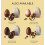 Hotel Chocolat: Extra-Thick Easter Egg ? Everything 3