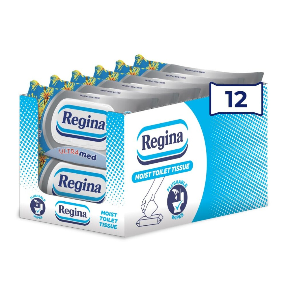 Regina Moist Toilet Tissue Ultramed ? 12 Pack, Each With 42 Flushable Moist Toilet Tissues With Panthenol Lotion & Hamamelis Extract, Gentle Care For