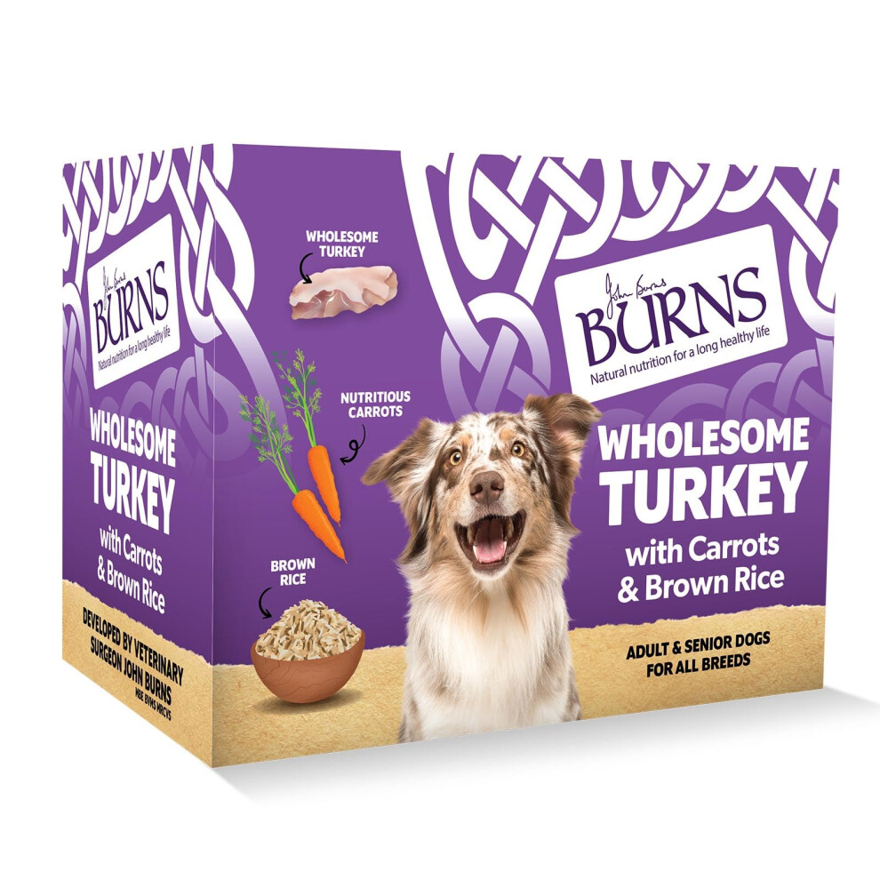 Burns Pet Nutrition Natural Wet Dog Food For Adult And Senior Dogs ? Wholesome Turkey And Potato 6 X 395 G Brown