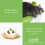 Catit Catit Senses Wellness Centre,Green 4