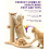 Multifunctional Cat Scratching Post ? Scratching Post for Indoor Cats with Widened Solid Wood Base, Two Sisal Rope Balls, Interactive Track & Spring 2