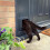SureFlap Microchip Cat Flap Grey/White (Grey) 3