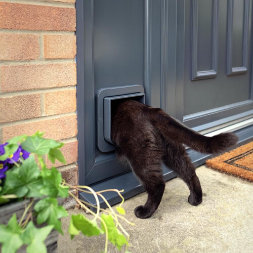 SureFlap Microchip Cat Flap Grey/White (Grey) 2