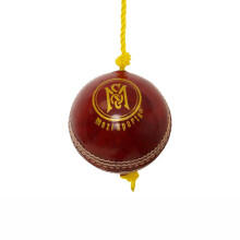 Mozi Sports String Cricket Balls ? Develop Hand-Eye Coordination Leather Hanging Ball for Practice
