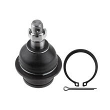 ARM BALL JOINT For FORD TRANSIT TT9 06- /FRONT, LOWER/