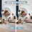 Security Camera - Mini, Cloud & SD Storage(Black) 6