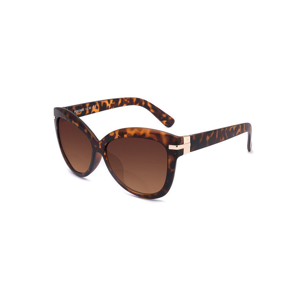 Gray/Brown (+1.5, Tortoise) Womens Tinted Bifocals Reading Glasses For The Elderly Sunglasses +1.0 ~ +3.0