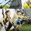 Suspension Trainer Kit, der leichteste und kleinste Suspension Trainer 6