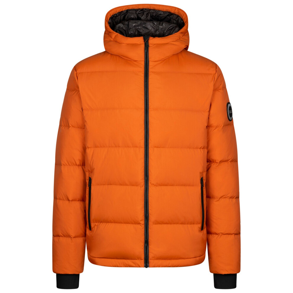(M, Burnt Orange) Trespass Mens Sergei DLX Down Jacket