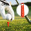 (green) 2pcs Golf Tee Height Tool With Scale Compact Design Portable Precision Golf Tee Height Setter Easy-to-use Golf Training Accessory 5