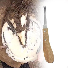 (Right Hand) Horse Hoof Knife Comfortable Grip Farrier For Farriers Livestock Cows Right Hand