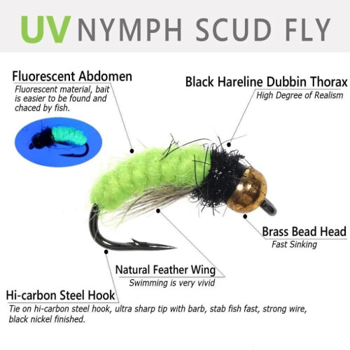 Nymphe Fluorescente Scud Bug Worm Fly Uv Brass Bead Head Fishng Flies 2