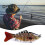 (D) Esca da pesca multi-snodata da 10 cm/15,5 g con ami, esca artificiale in plastica realistica a 7 3