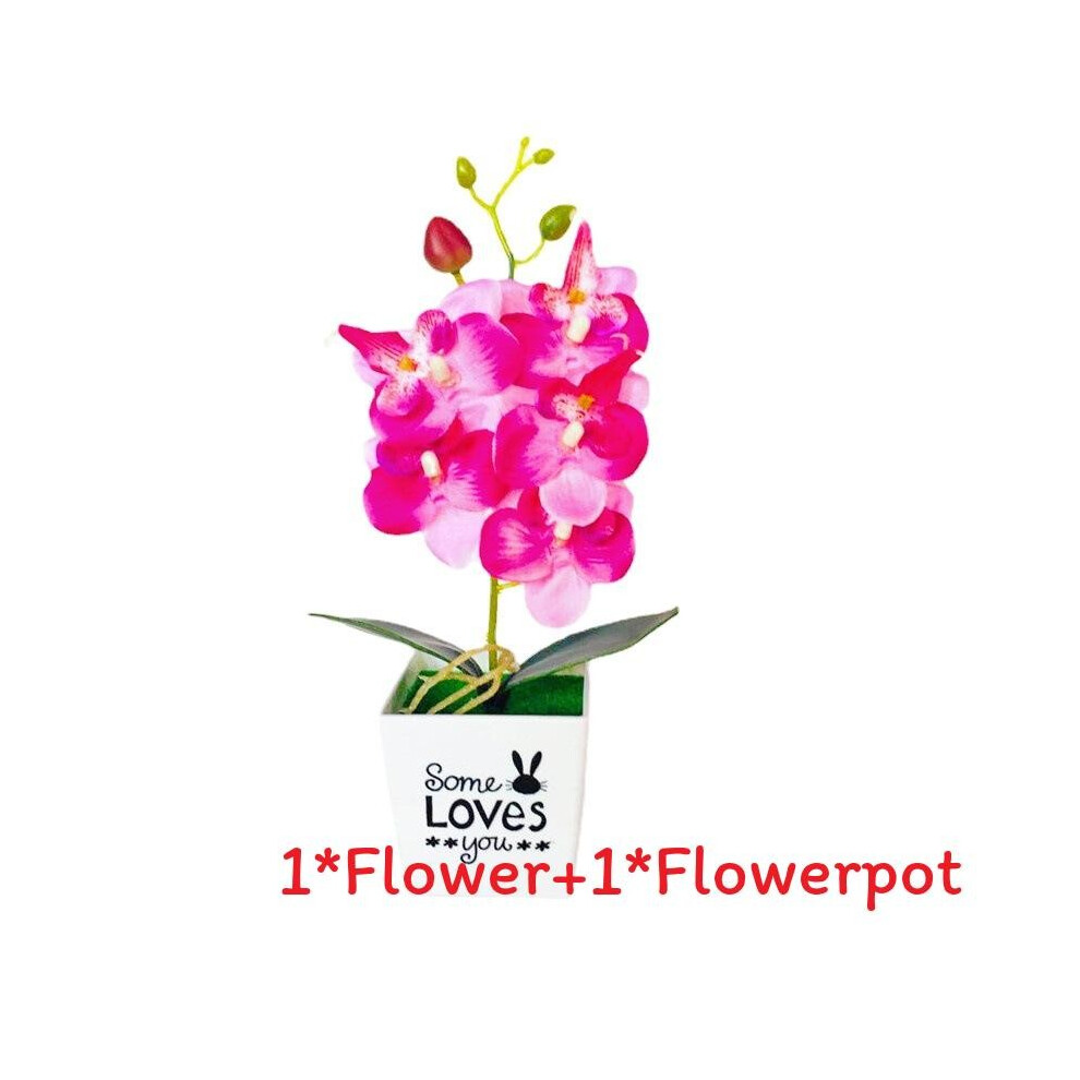 (Red ) Phalaenopsis Pot Love Potted Green Plant Decorations For Home Gift Ideas Decor-image-OPC-PHCSKY8-NEW