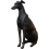 Sitting Greyhound Ornament | Elegant Sculpture | H 30 cm 1