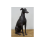 Sitting Greyhound Ornament | Elegant Sculpture | H 30 cm 5