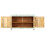 VidaXL (light blue) vidaXL Solid Mango Wood Sideboard 2 Doors Side Cabinet Highboard Cupboard 3