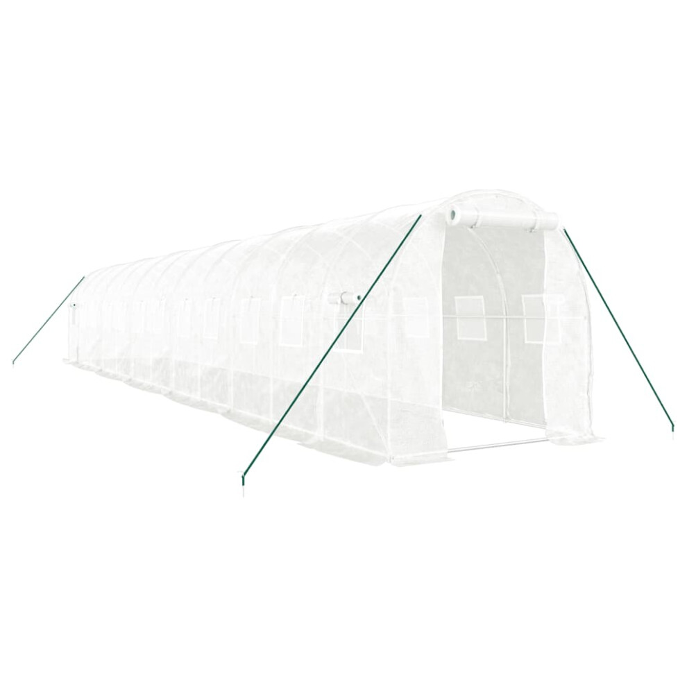 Vidaxl (12 X 2 X 2 M) Greenhouse Walk In Greenhouse With Steel Frame Patio Outdoor Grow House