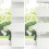 VidaXL vidaXL Zebra Blind White 160x150 cm Fabric Width 155.9 cm Polyester 8