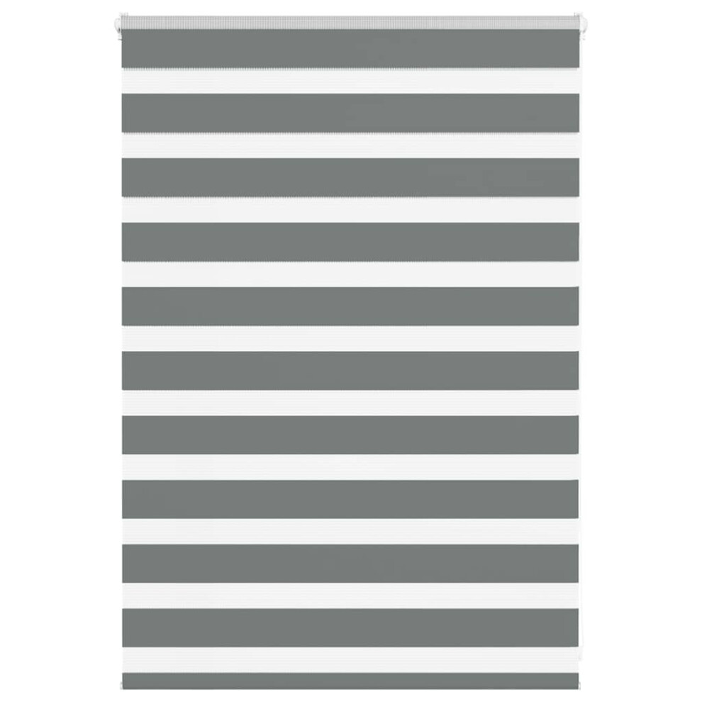 Vidaxl (Dark Grey, 110 X 100 Cm) Zebra Blind Fabric Polyester