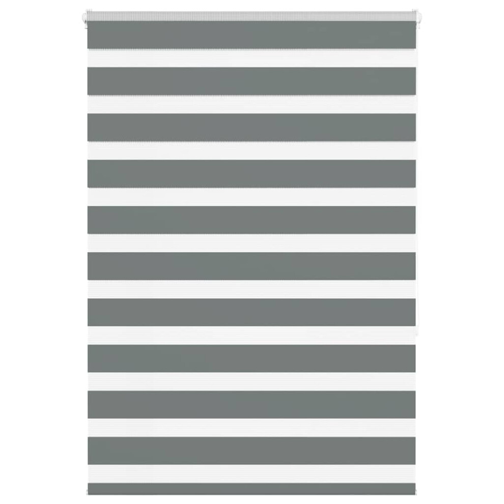 Vidaxl (Dark Grey, 110 X 150 Cm) Zebra Blind Fabric Polyester