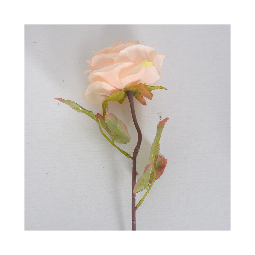 (Champagne) Silk Rose Artificial Flower Material Outdoor Decor Backdrops And Photography-image-OPC-PHD59DF-NEW